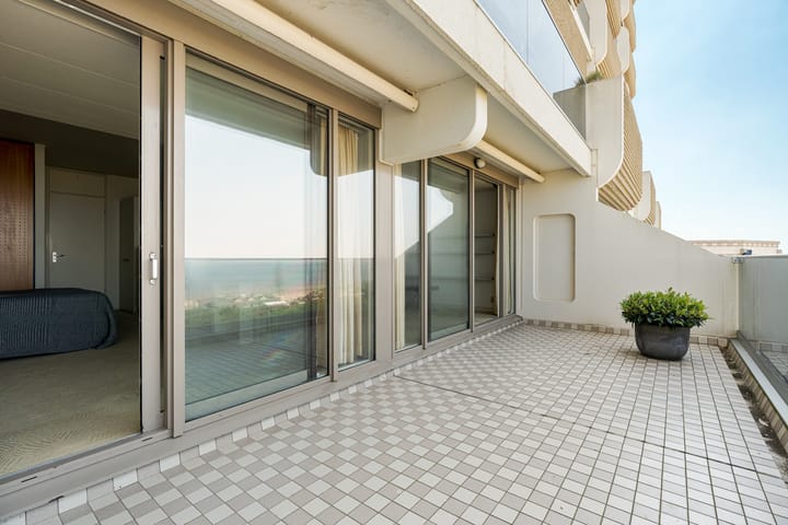 Foto 15 van Duinroos 31