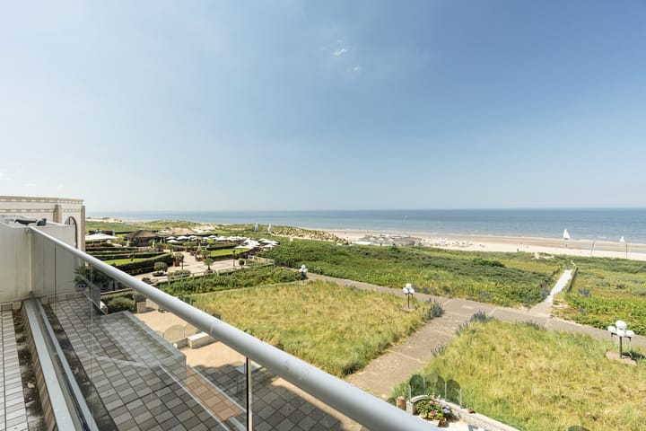 Foto 16 van Duinroos 31