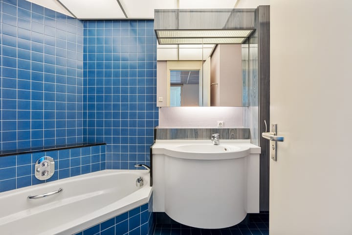 Foto 17 van Duinroos 31