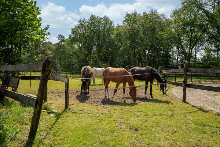 Foto 4 van Dalmsholterdijk 2