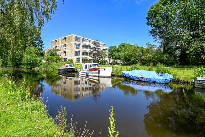 Bekijk foto 1 van Narcisplantsoen 150