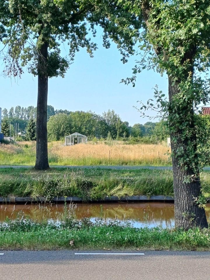 Foto 5 van Jipsingboermussel