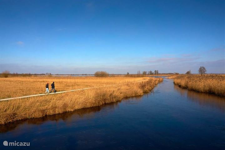 Bekijk foto 39 van Heetveld 1-R50