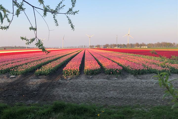 Bekijk foto 109 van Dorpsstraat 37