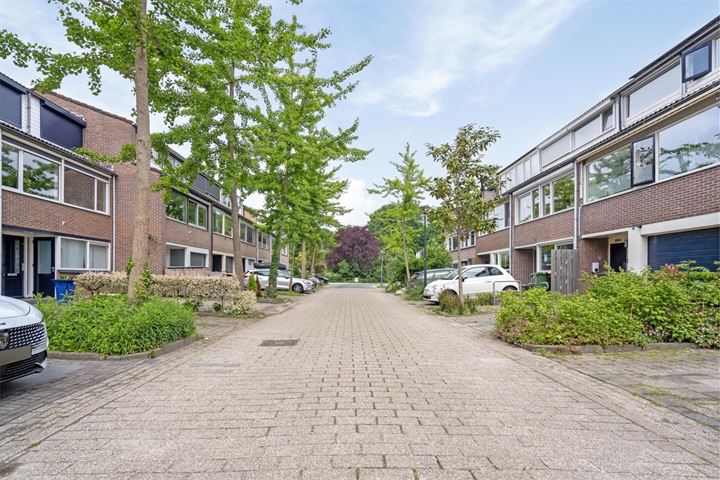 View photo 44 of Schepenen 77