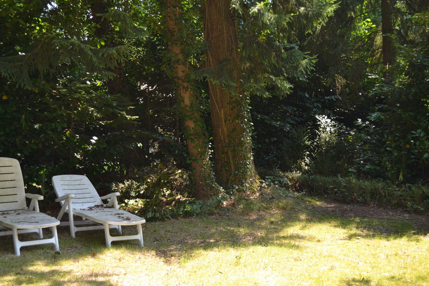 Foto 5 van Gasselterstraat 7-56