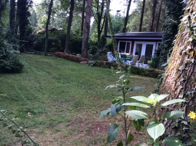 Foto 33 van Gasselterstraat 7-56