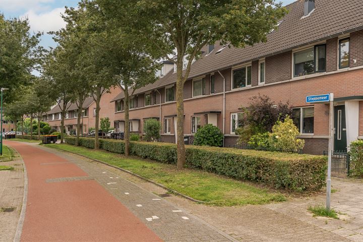 Bekijk foto 38 van Steppemeer 18