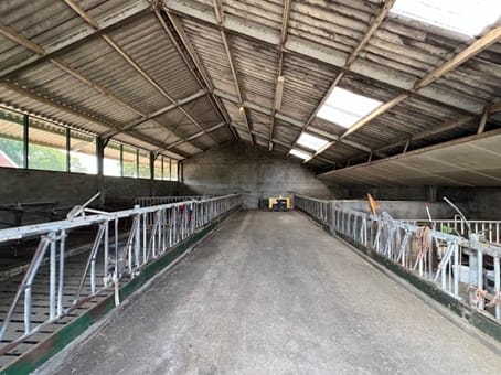 Foto 25 van Bornerbroekseweg 11