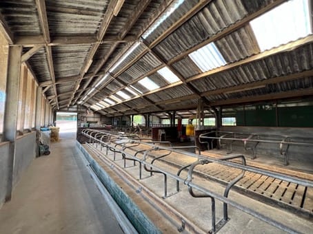 Foto 27 van Bornerbroekseweg 11