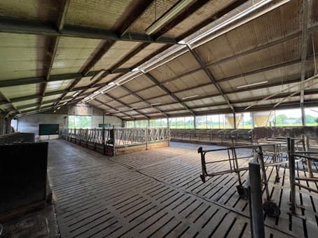 Foto 29 van Bornerbroekseweg 11