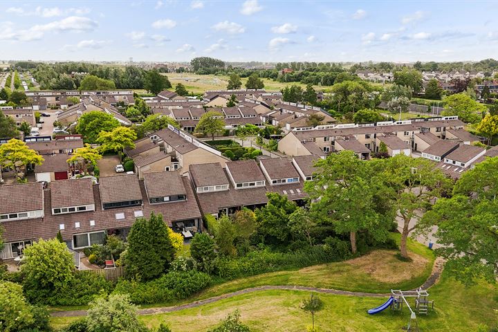 Bekijk foto 36 van Zenegroen 48