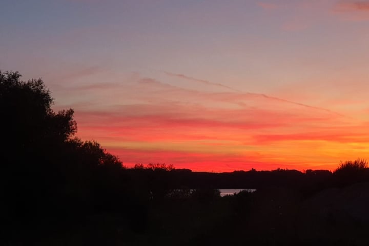 Bekijk foto 37 van Aan de Dijk 44