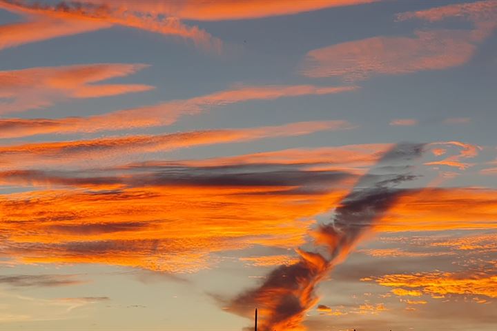 Bekijk foto 38 van Aan de Dijk 44