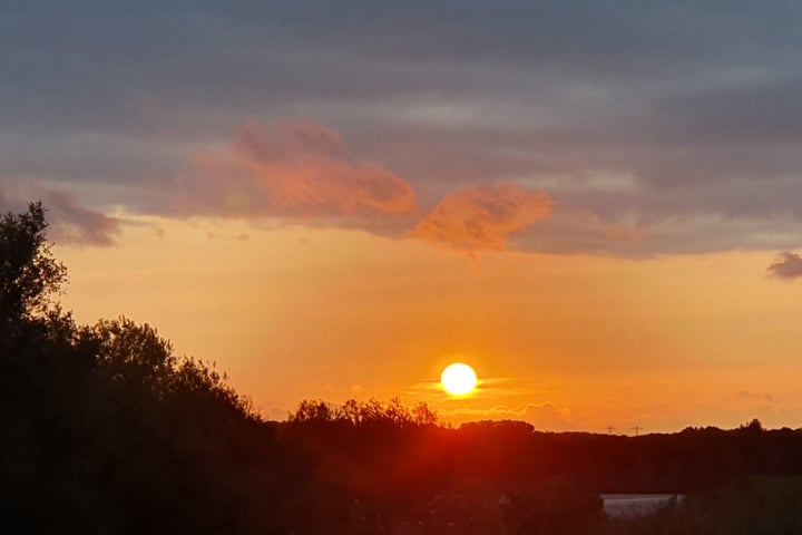 Bekijk foto 39 van Aan de Dijk 44