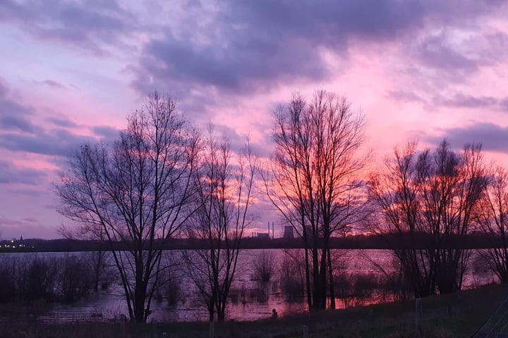 Bekijk foto 42 van Aan de Dijk 44