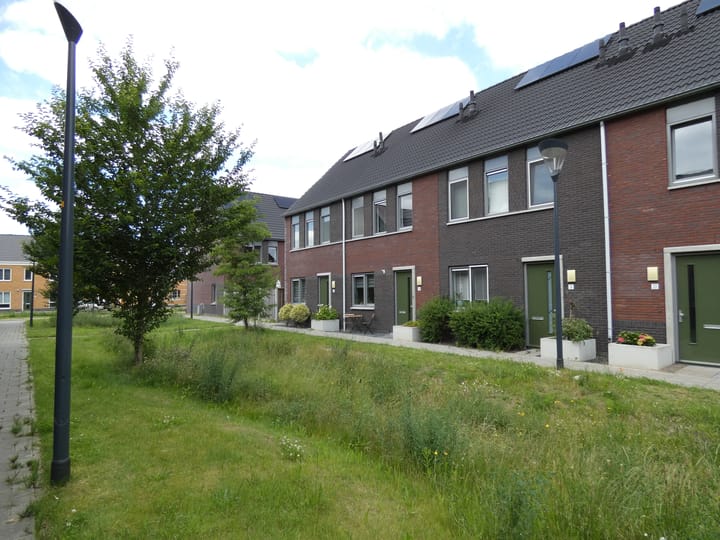 Geulstraat 3