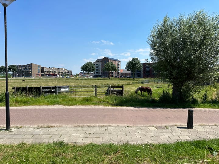 Foto 2 van Paulus Potterstraat 44