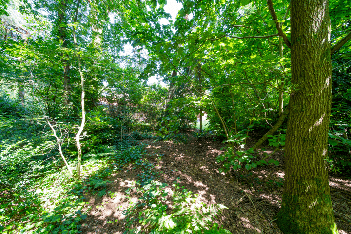 Photo 40 of Langendijk 2