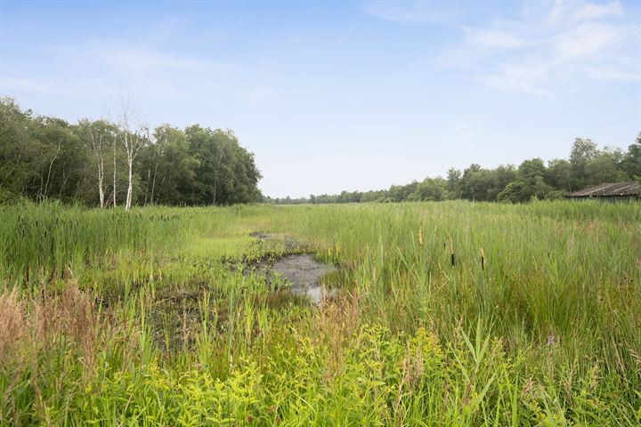 Bekijk foto 35 van Oudeweg 18