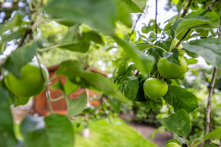 Foto 49 van Markeloseweg 68