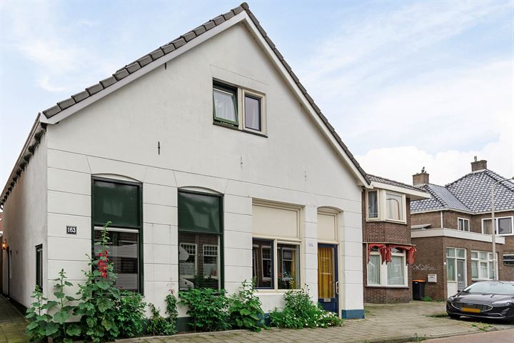 Bekijk foto 1 van Brinkstraat 163