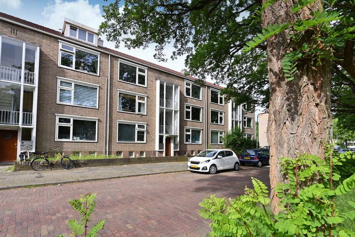 Bekijk foto 1 van Erfgooiersstraat 255