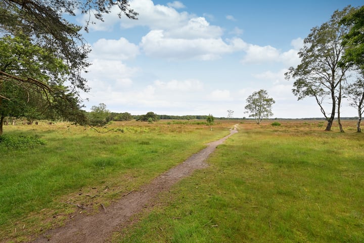 Bekijk foto 3 van Erfgooiersstraat 255