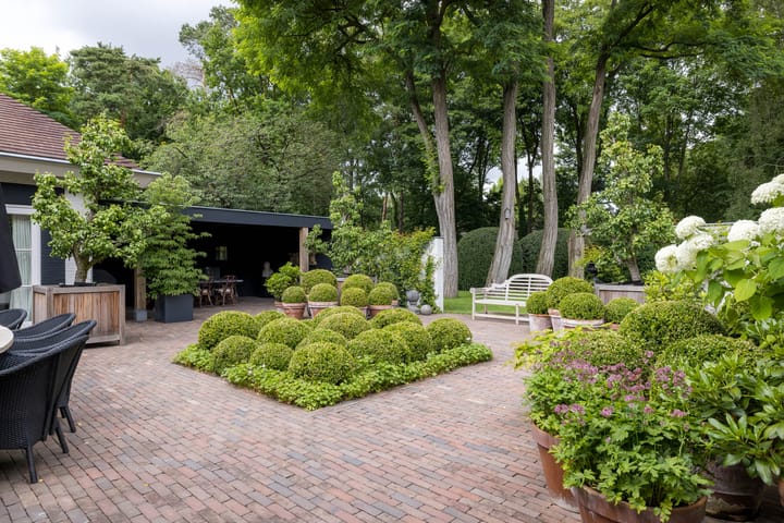 Photo 47 of Top Naeffdreef 21