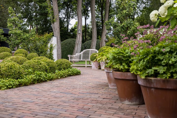 Photo 51 of Top Naeffdreef 21