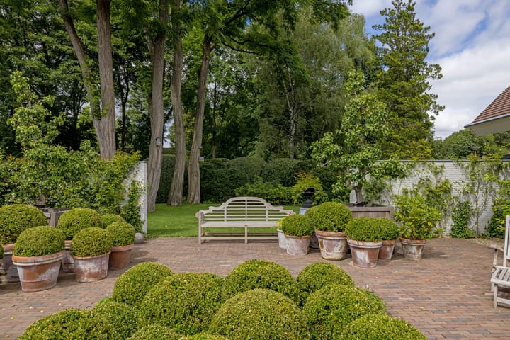 Photo 53 of Top Naeffdreef 21