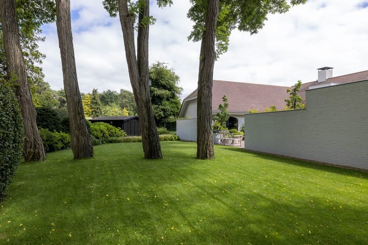 Photo 54 of Top Naeffdreef 21