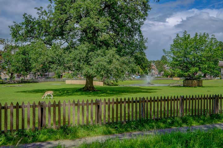 Bekijk foto 54 van Hertenkamp 7