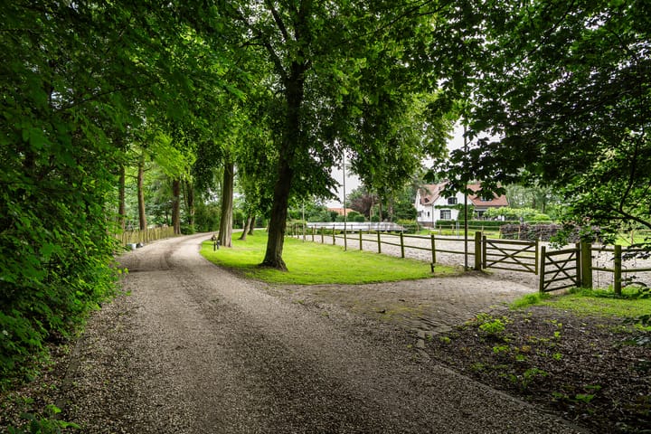 Photo 6 of Hoge Zomerdijk 9