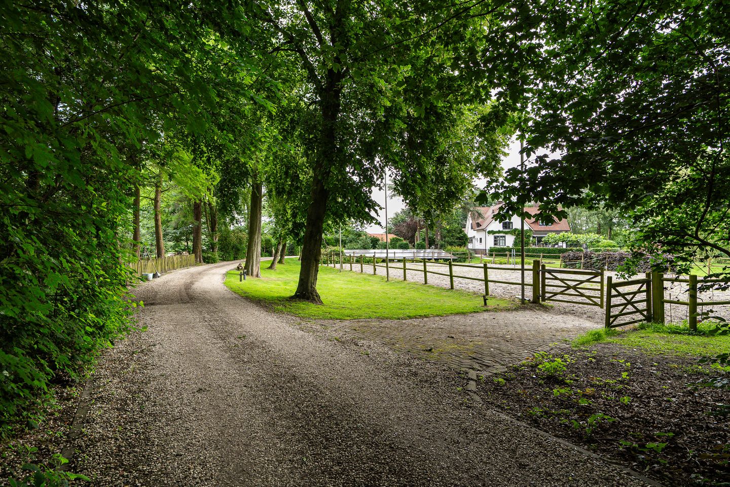 Hoge Zomerdijk 9 - Joure - Afbeelding 7