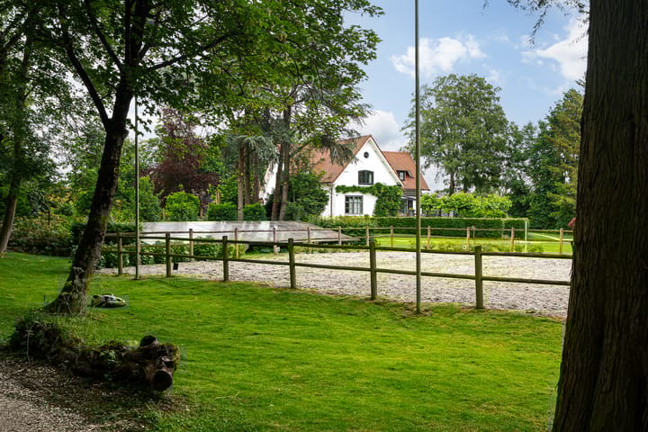 Photo 8 of Hoge Zomerdijk 9