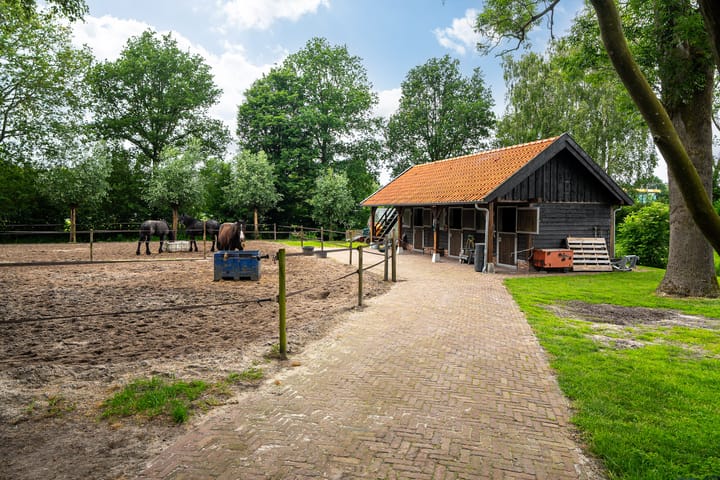 Photo 12 of Hoge Zomerdijk 9