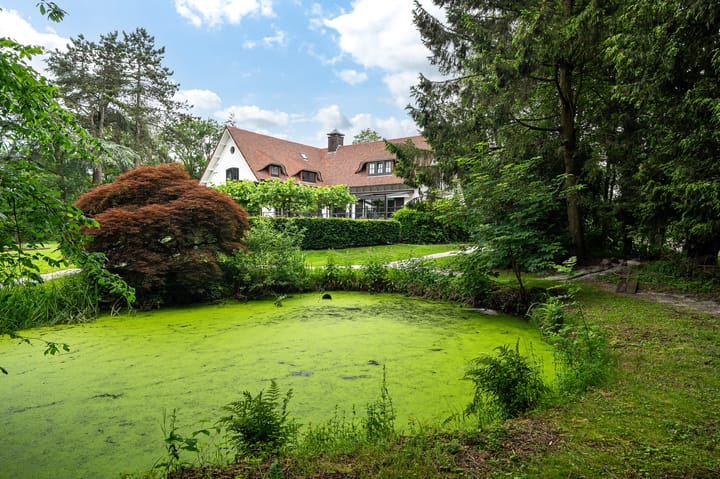 Photo 16 of Hoge Zomerdijk 9