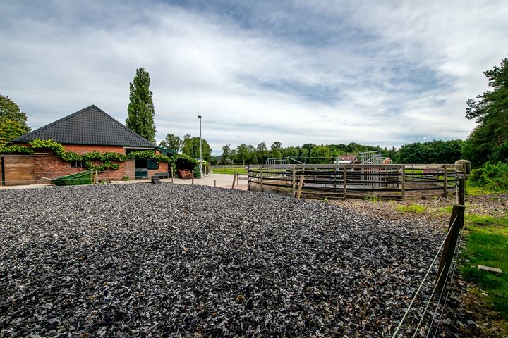 Bekijk foto 41 van Jipsingboertangerweg 147