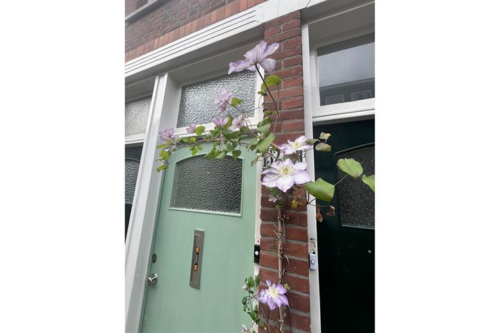 Bekijk foto 31 van Govert Bidloostraat 132