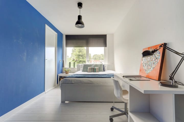 Foto 28 van van Dethstraat 14