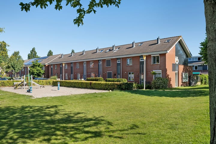 Foto 1 van Bultkroos 104