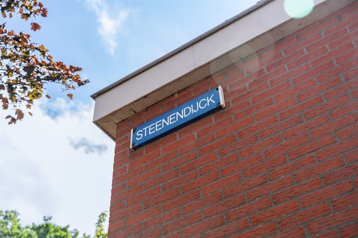 Bekijk foto 48 van Steenen Dijck 101