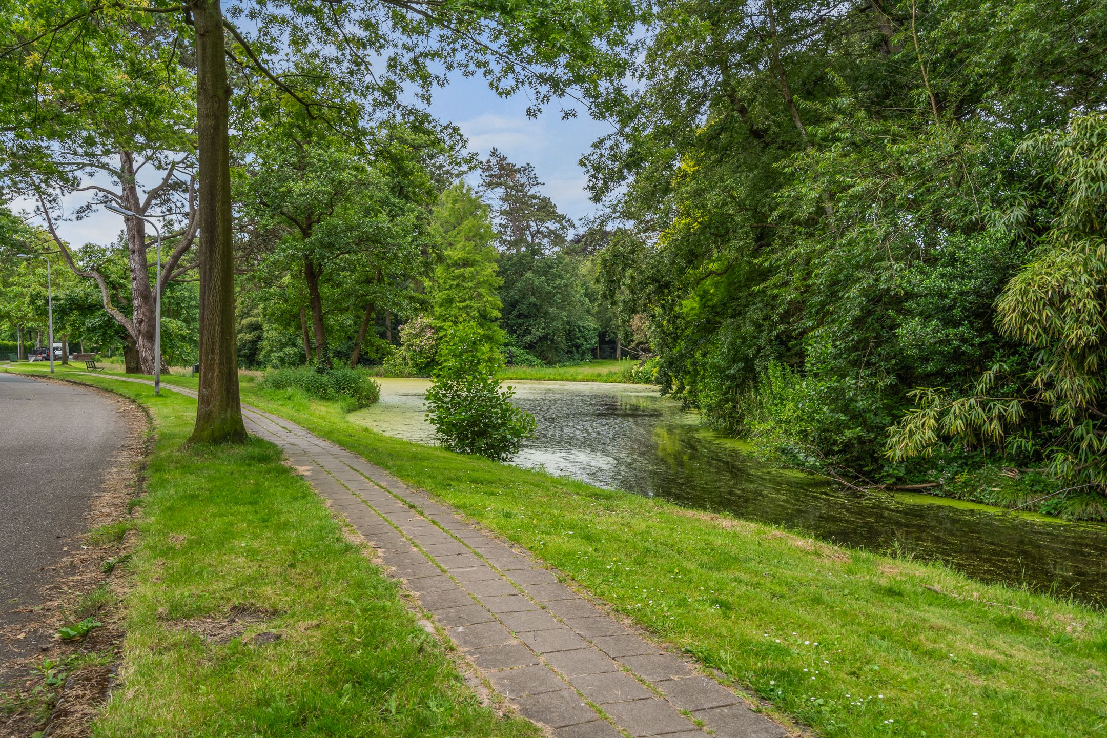 Foto 3 van Vijverweg 3