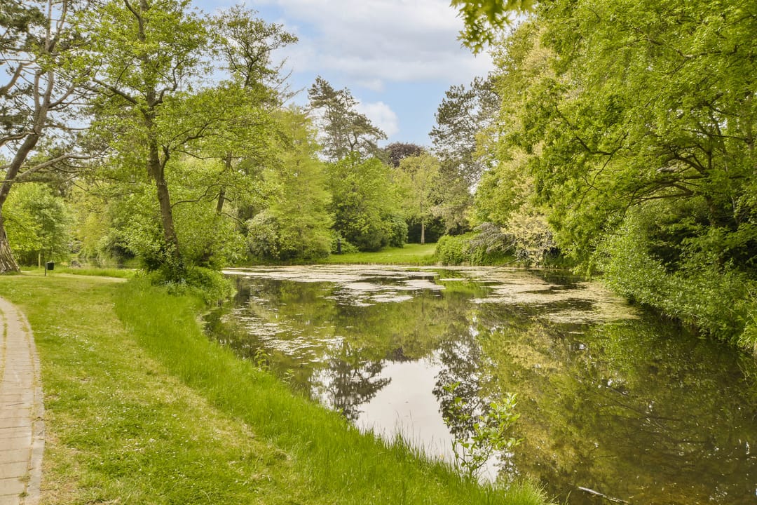 Foto 37 van Vijverweg 3