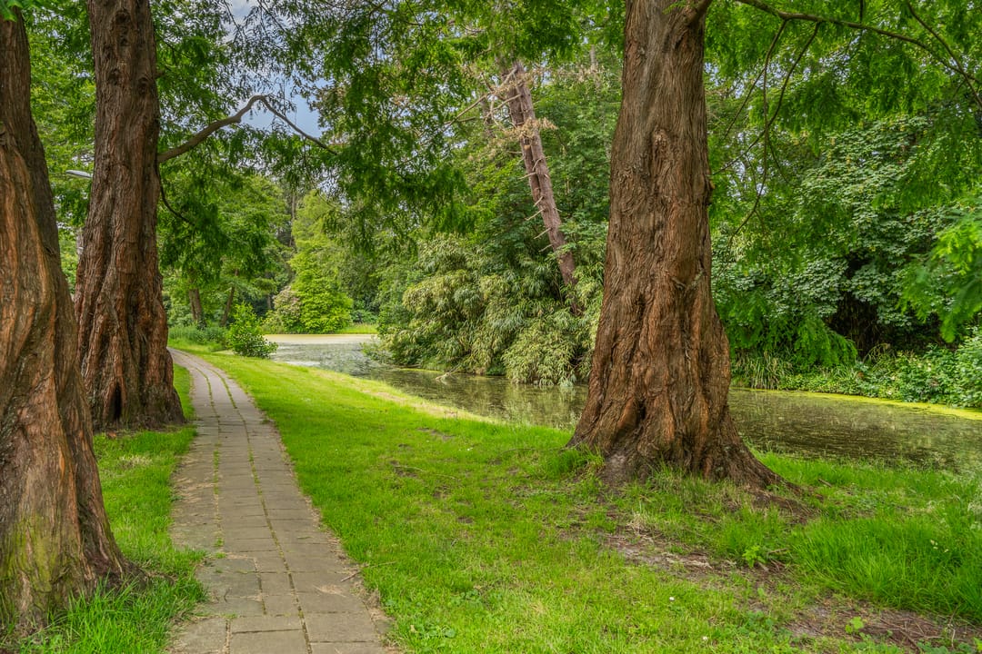 Foto 46 van Vijverweg 3