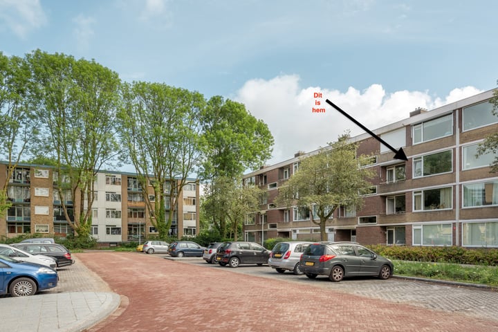 Bekijk foto 1 van Abeelstraat 87