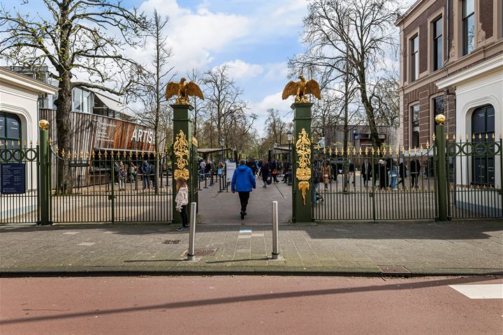 Bekijk foto 31 van Plantage Muidergracht 83-B