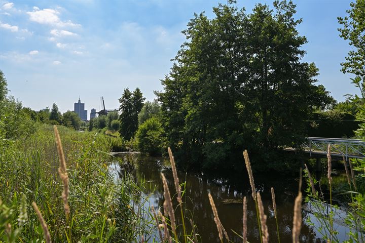 Bekijk foto 29 van Boekweitkamp 163