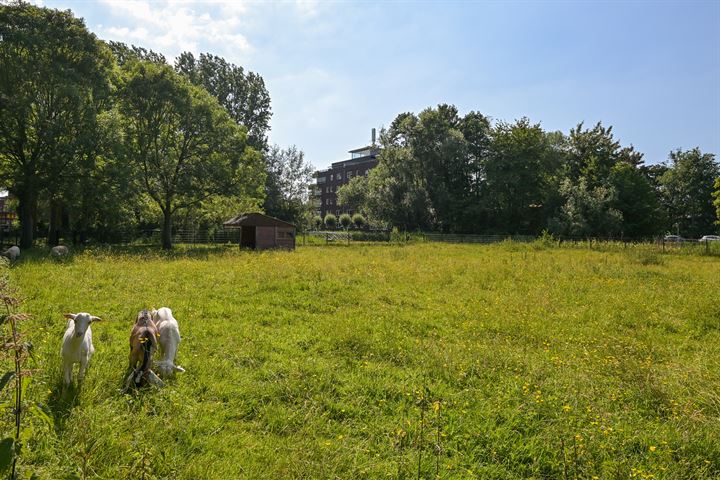 Bekijk foto 30 van Boekweitkamp 163